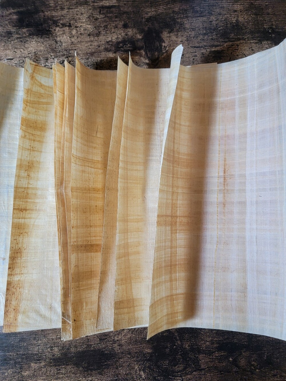 Egyptian Papyrus Blank Paper Lot For Scrapbooking Art Projects